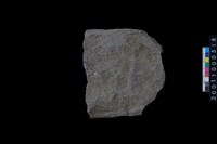 藏品(磨製石斧)的圖片