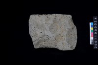 藏品(磨製石斧)的圖片