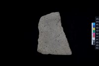 藏品(磨製石斧)的圖片