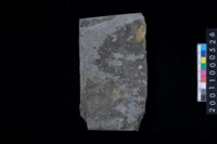 藏品(磨製石斧)的圖片