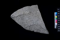 藏品(磨製石斧)的圖片