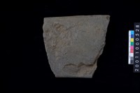 藏品(磨製石斧)的圖片