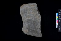 藏品(磨製石斧)的圖片