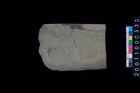 藏品(磨製石斧)的圖片