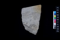 藏品(磨製石斧)的圖片