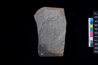 藏品(磨製石斧)的圖片