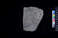 藏品(石斧)的圖片