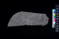 藏品(磨製石斧)的圖片