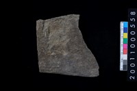 藏品(磨製石斧)的圖片