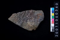 藏品(磨製石斧)的圖片