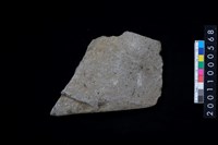 藏品(磨製石斧)的圖片