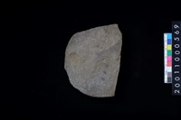 藏品(磨製石斧殘件)的圖片