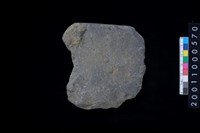 藏品(磨製石斧)的圖片