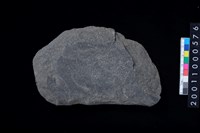 藏品(磨製石斧)的圖片