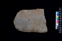 藏品(磨製石斧)的圖片