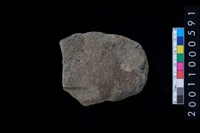 藏品(磨製石斧)的圖片