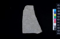 藏品(磨製石斧)的圖片