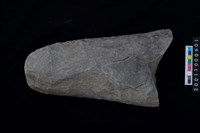 藏品(磨製石斧)的圖片