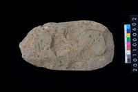 藏品(磨製石斧)的圖片