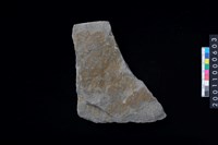 藏品(石斧)的圖片