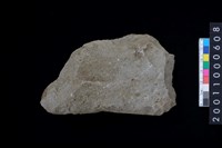 藏品(磨製石斧)的圖片