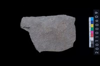 藏品(磨製石斧)的圖片