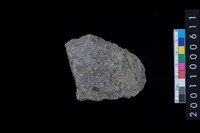 藏品(磨製石斧)的圖片