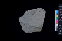 藏品(石斧)的圖片