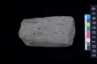 藏品(有段石錛)的圖片