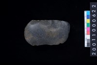 藏品(石器胚)的圖片