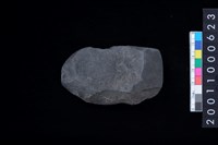 藏品(石錛)的圖片