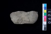 藏品(石錛)的圖片