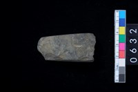 藏品(石錛)的圖片