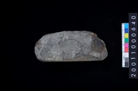 藏品(石錛)的圖片