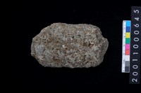 藏品(石斧)的圖片