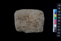 藏品(石斧)的圖片