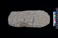 藏品(打製石斧)的圖片