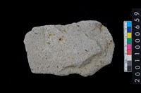 藏品(打製石斧)的圖片