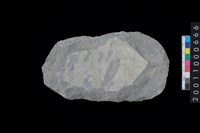 藏品(打製石斧)的圖片