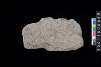 藏品(有肩石斧)的圖片