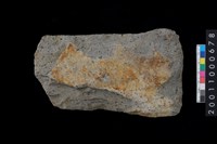 藏品(打製石斧)的圖片