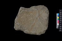 藏品(打製有肩石斧)的圖片