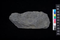 藏品(不明石器)的圖片