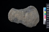 藏品(打製石斧)的圖片