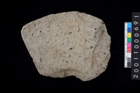 藏品(打製石斧殘件)的圖片