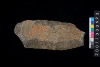 藏品(打製石斧殘件)的圖片