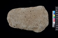 藏品(磨製石斧)的圖片