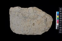 藏品(磨製石斧殘件)的圖片