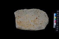 藏品(磨製石斧殘件)的圖片