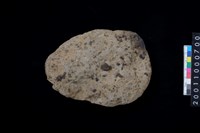 藏品(打製石斧)的圖片